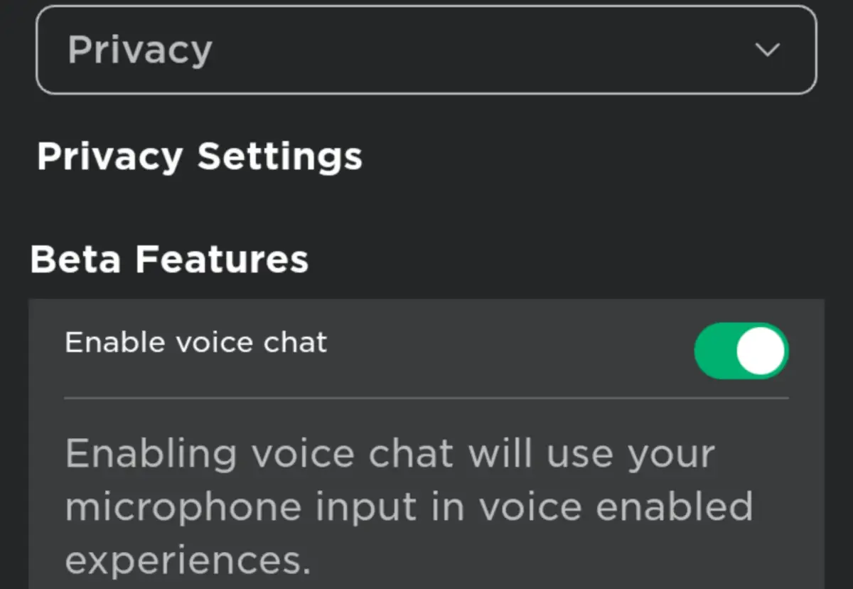 Enable Voice Chat on Roblox