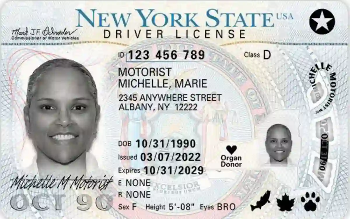 New York worst fake id state