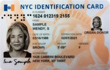 New York ID state faux