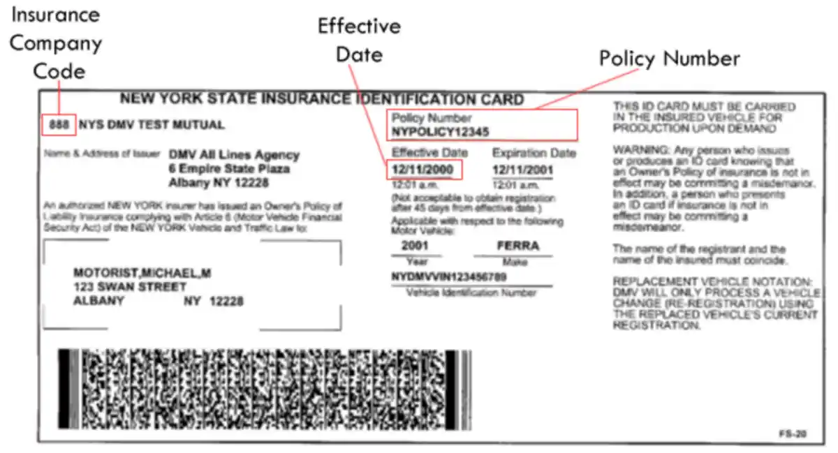 Make Fake Insurance Card