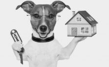 8 Ways to Get Out of Paying Pet Rent