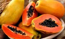 3 Farmer’s Tips to Ripen Papaya After Cutting It