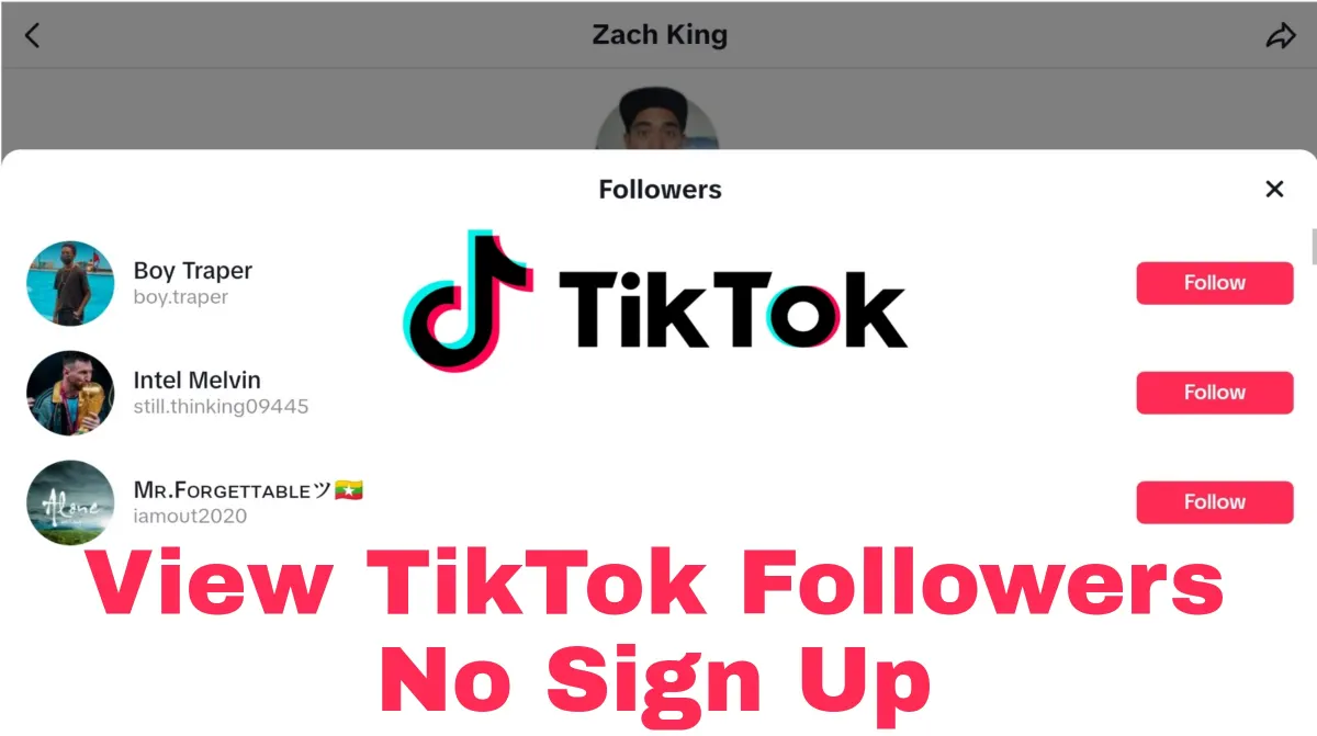 View TikTok Followers Without Account