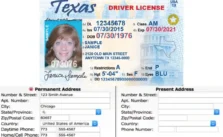 How to Get a Driver License Without a Permanent Address